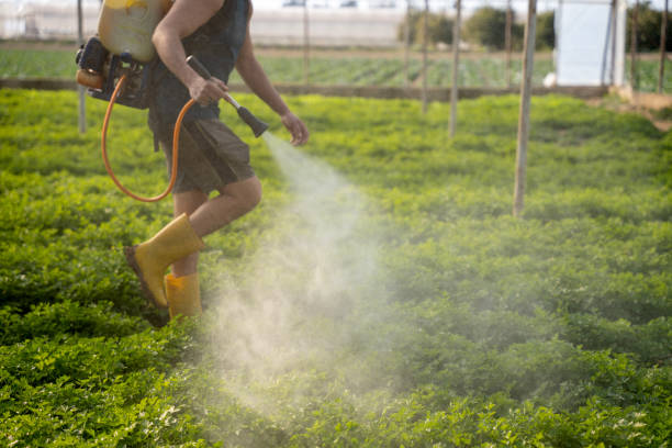 Best Affordable Pest Control Services  in East Wenatchee, WA